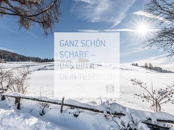 Winter Winter