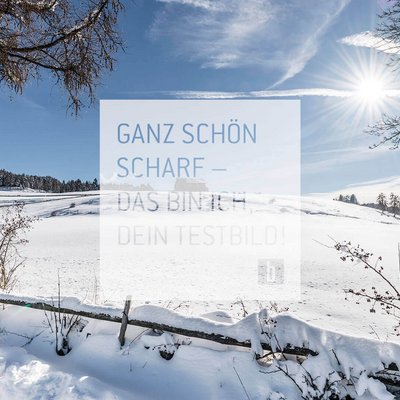 Winter Winter